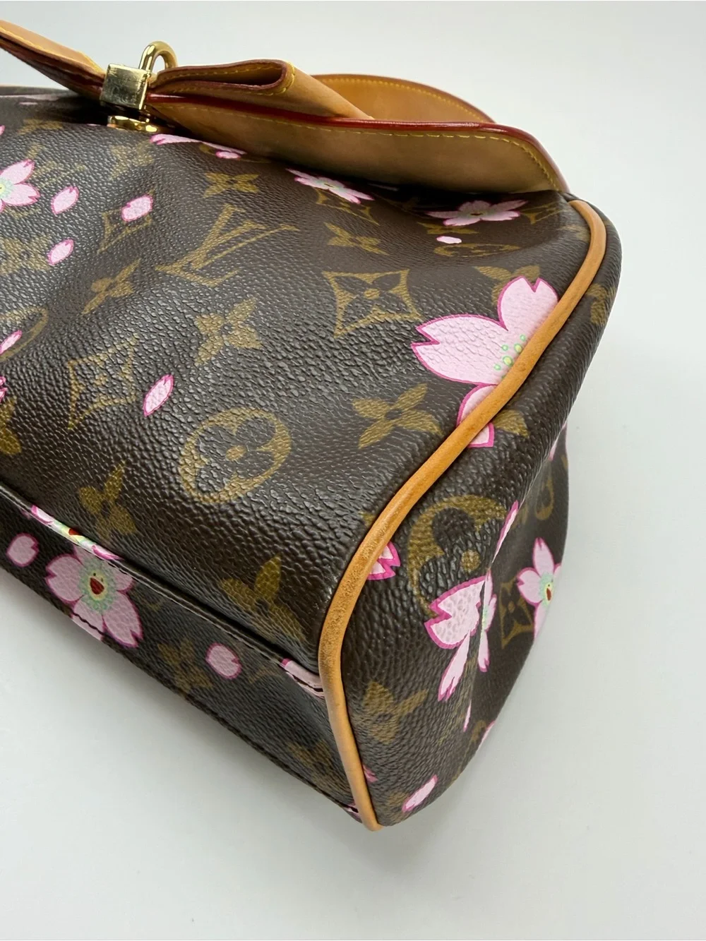 Louis Vuitton Louis Vuitton Takashi Murakami Cherry Blossom Sac Retro PM